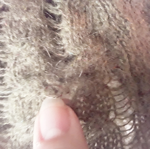 Nubby Mockneck Sheer Green Top - Picture 7 of 8